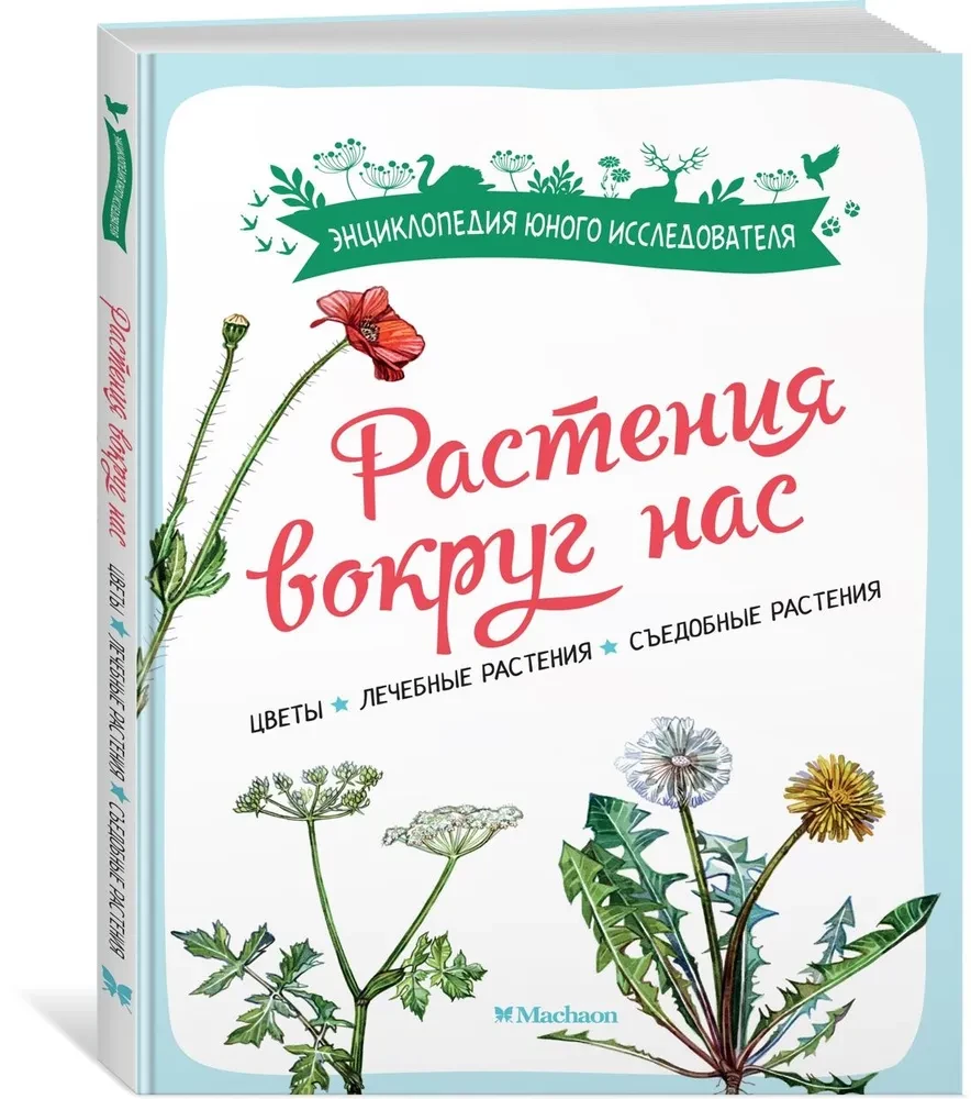 Rośliny wokół nas