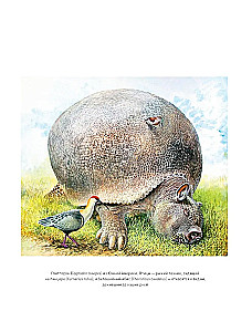 The End of Megafauna. The Fascinating Life and Mysterious Death of Mammoths, Saber-Toothed Tigers, and Giant Sloths