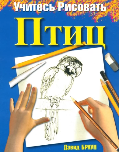 Mācieties zīmēt putnus