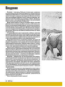 Realistyczne rysunki zwierząt
