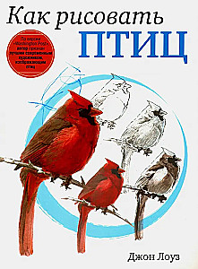 Jak rysować ptaki