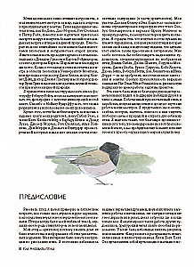 Jak rysować ptaki