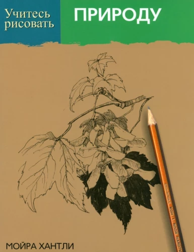 Lerne, die Natur zu zeichnen