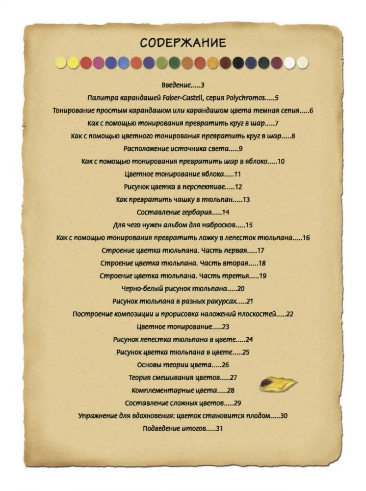 Ilustracja botaniczna. Edukacyjny szkicownik