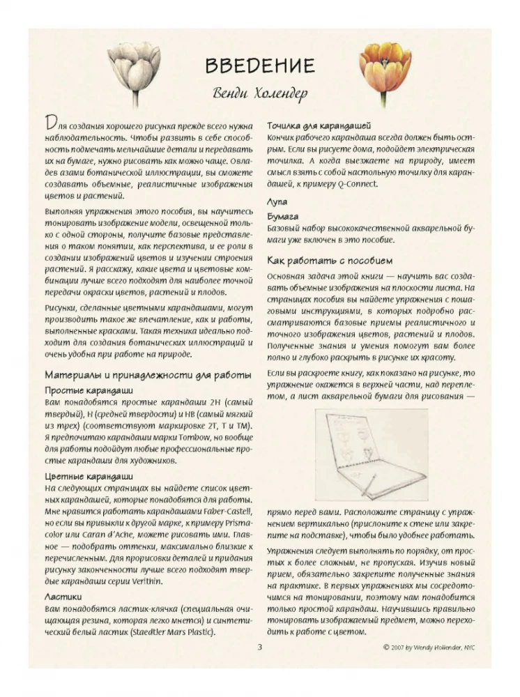 Ilustracja botaniczna. Edukacyjny szkicownik