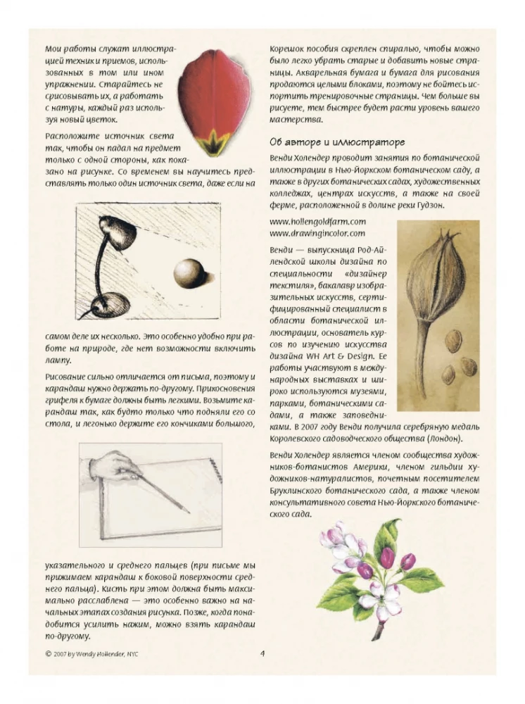 Ilustracja botaniczna. Edukacyjny szkicownik