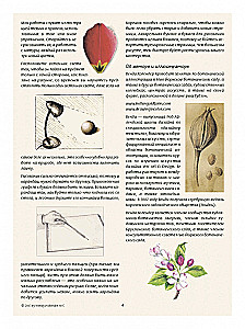 Ilustracja botaniczna. Edukacyjny szkicownik
