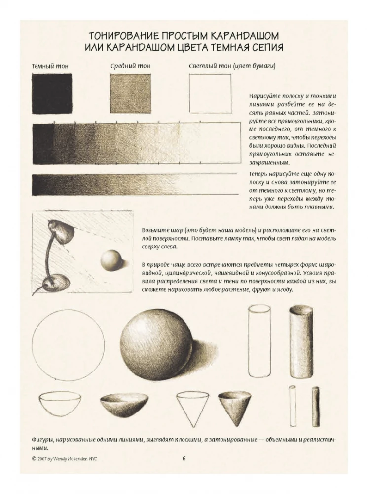 Ilustracja botaniczna. Edukacyjny szkicownik