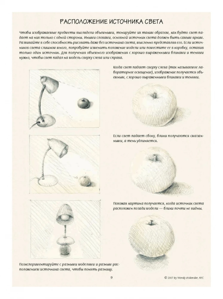 Ilustracja botaniczna. Edukacyjny szkicownik