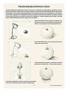 Ilustracja botaniczna. Edukacyjny szkicownik