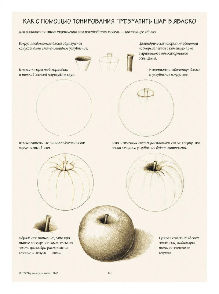 Ilustracja botaniczna. Edukacyjny szkicownik