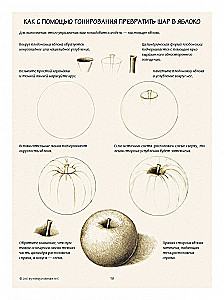 Ilustracja botaniczna. Edukacyjny szkicownik