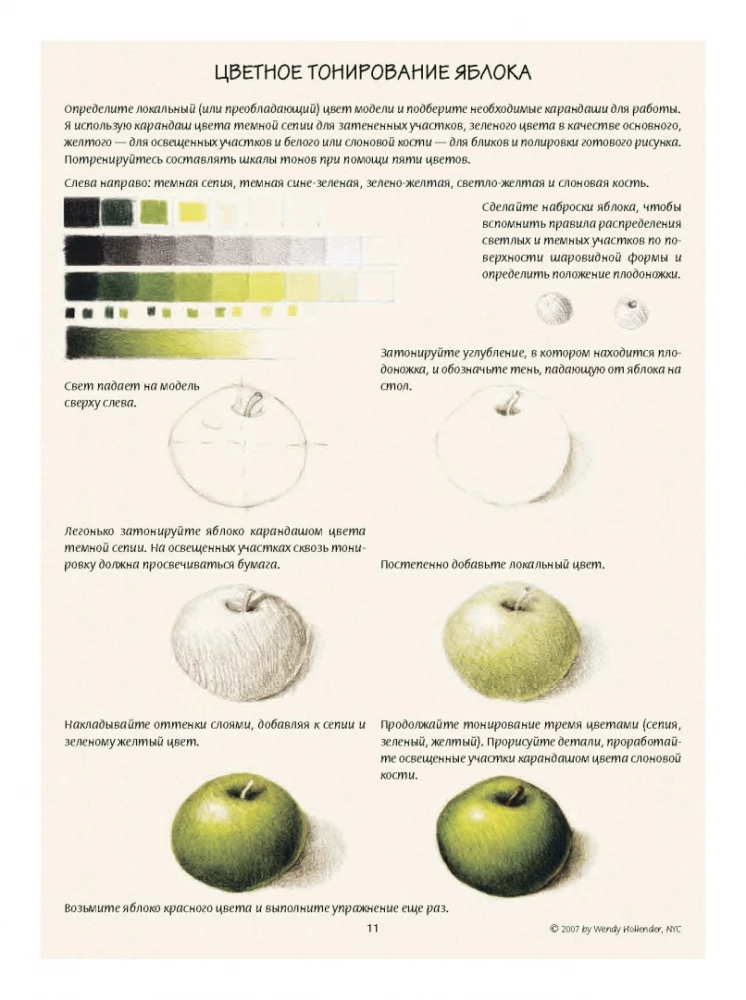 Ilustracja botaniczna. Edukacyjny szkicownik
