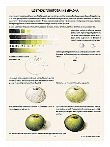 Ilustracja botaniczna. Edukacyjny szkicownik
