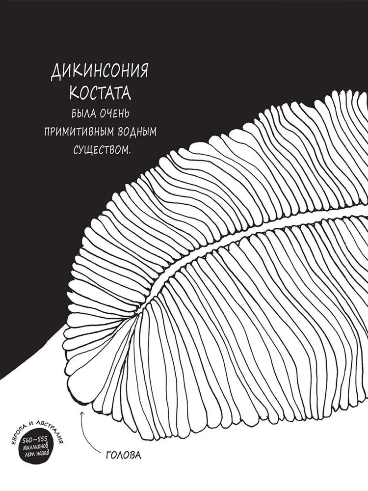 Historie o barwnych zwierzętach w obrazkach