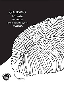 Historie o barwnych zwierzętach w obrazkach