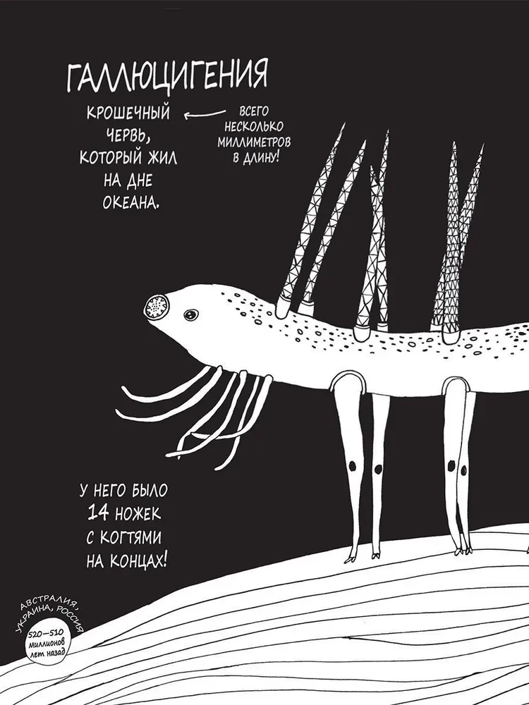 Historie o barwnych zwierzętach w obrazkach