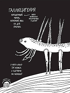 Historie o barwnych zwierzętach w obrazkach