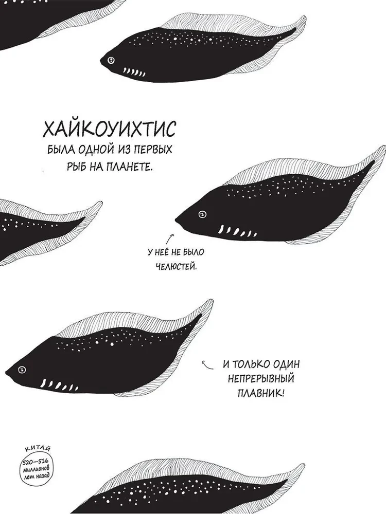 Historie o barwnych zwierzętach w obrazkach