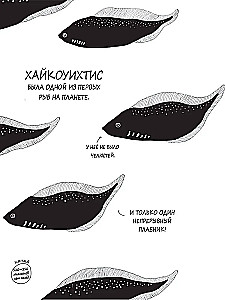 Historie o barwnych zwierzętach w obrazkach
