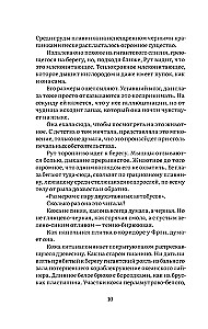 Ostoja