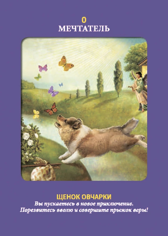 Tarot zwierząt (instrukcja +78 kart)