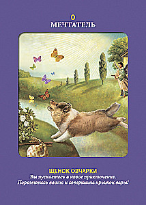Tarot zwierząt (instrukcja +78 kart)