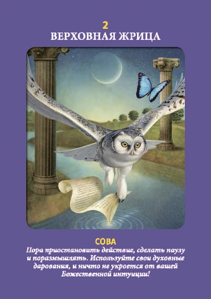 Tarot zwierząt (instrukcja +78 kart)