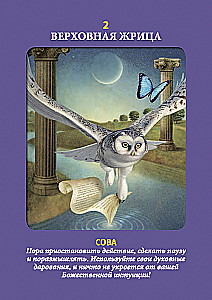 Tarot zwierząt (instrukcja +78 kart)
