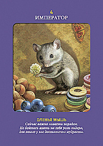 Tarot zwierząt (instrukcja +78 kart)