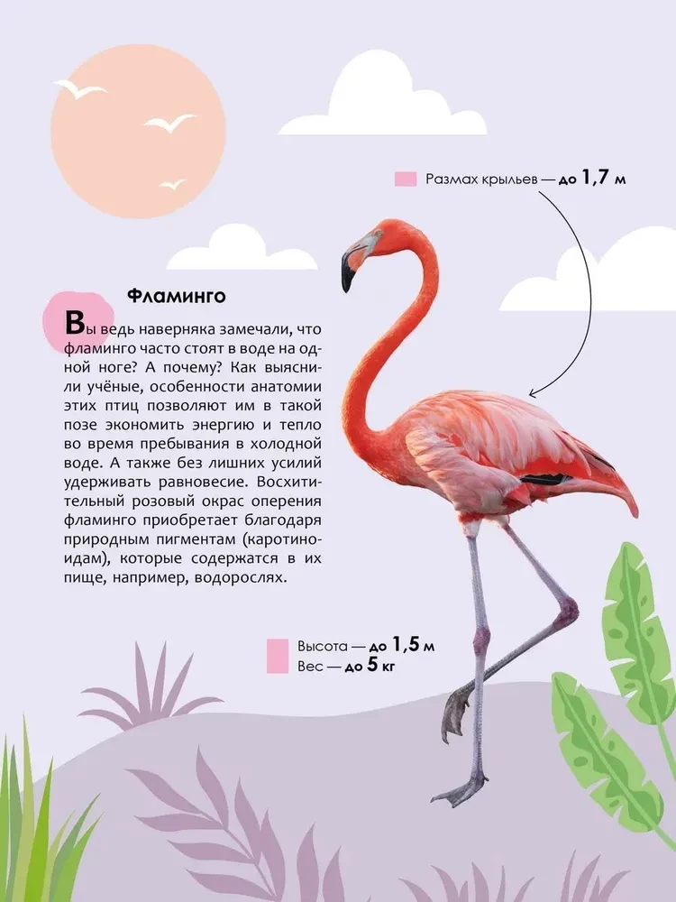 Vaikų enciklopedija. Gyvūnai