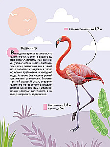 Vaikų enciklopedija. Gyvūnai