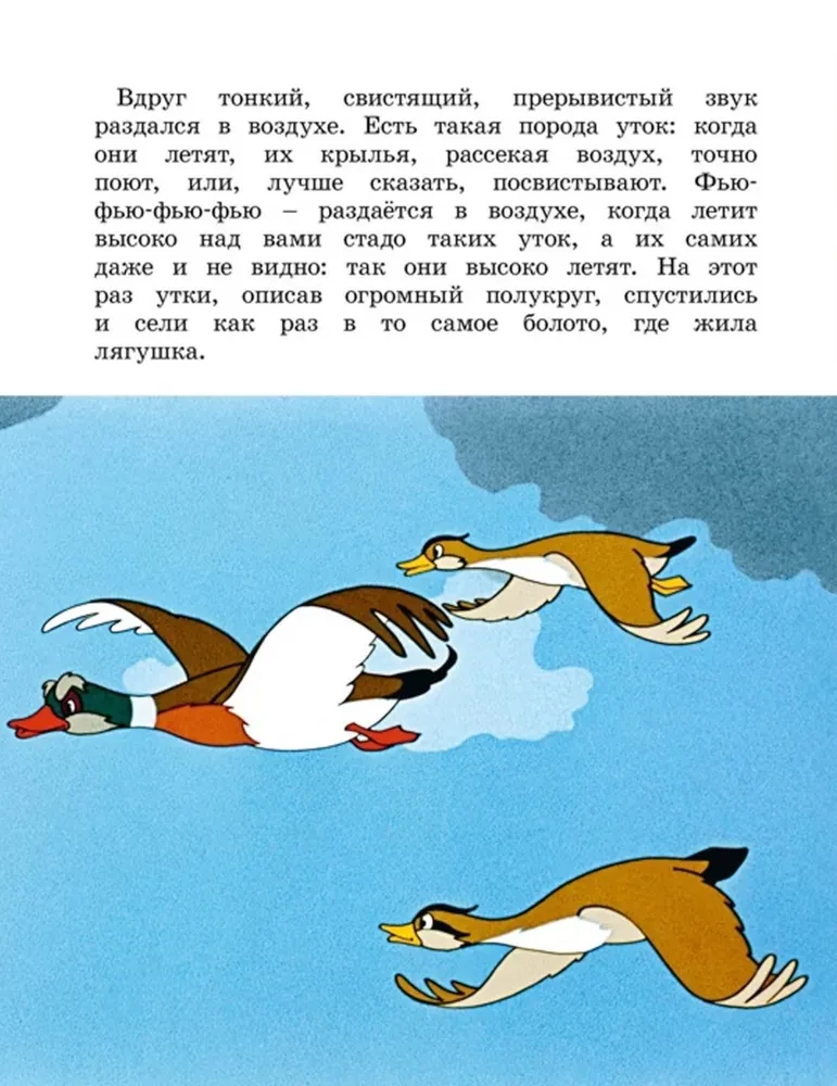 Żaba podróżniczka