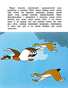 Żaba podróżniczka