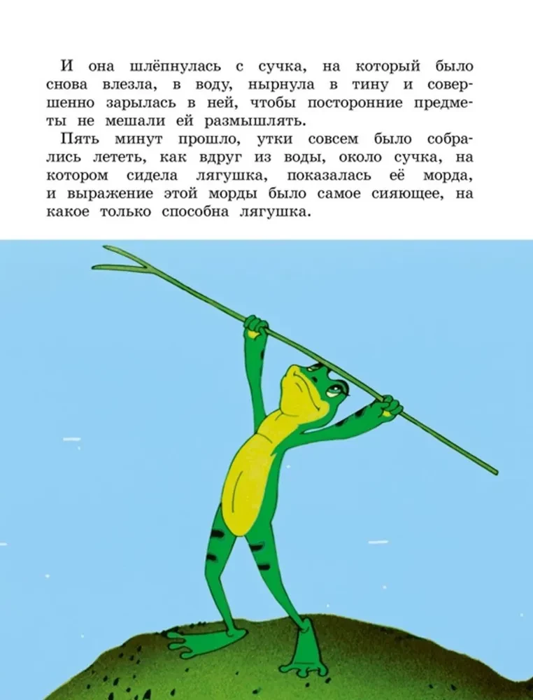 Żaba podróżniczka