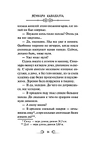 Снежная страна
