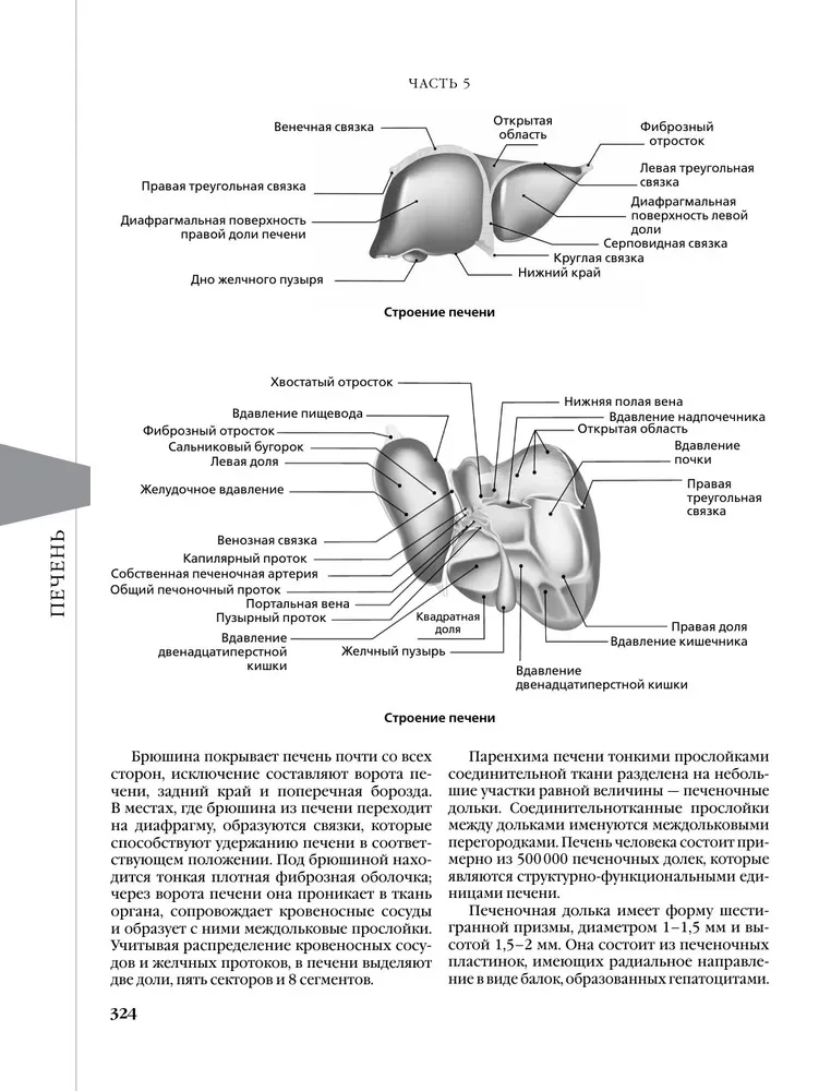 Evidenzbasierte Gastroenterologie. Neue Trends, Check-ups und Protokolle