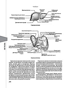 Evidenzbasierte Gastroenterologie. Neue Trends, Check-ups und Protokolle