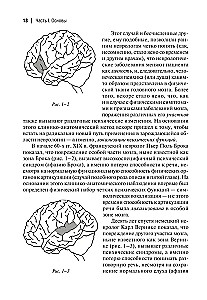 Klinische Forschung in der Neuropsychanalyse