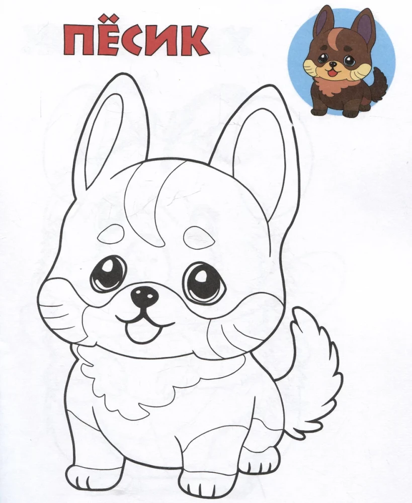 Hamster. Schau und male aus