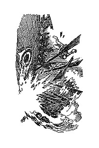 Ostrze brzytwy