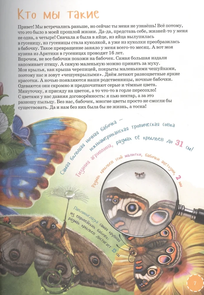 Najdziwniejsze i najrzadsze zwierzęta. Encyklopedia