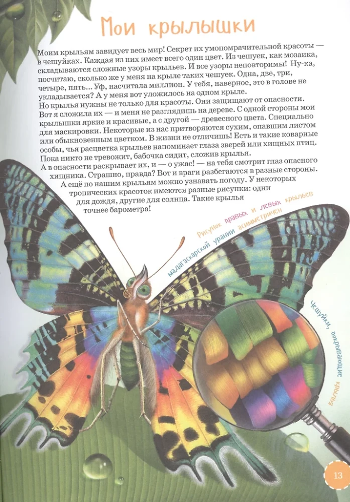 Najdziwniejsze i najrzadsze zwierzęta. Encyklopedia