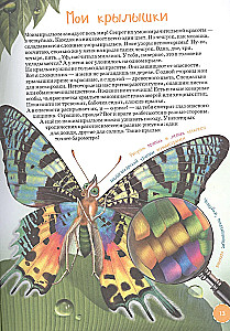 Najdziwniejsze i najrzadsze zwierzęta. Encyklopedia