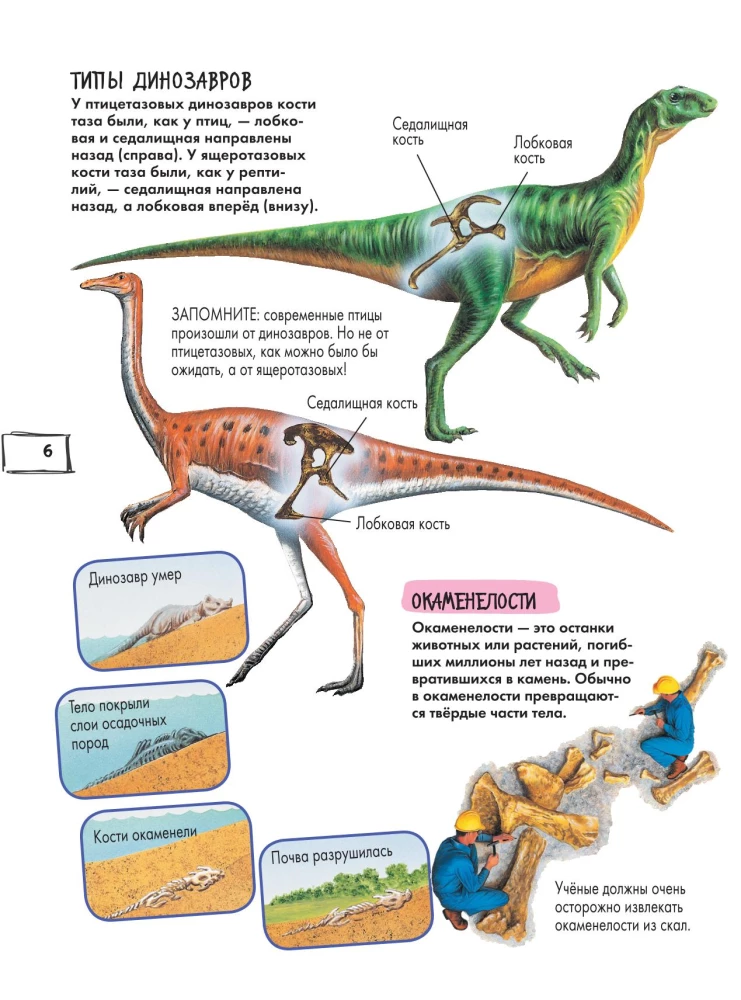Dinozaury