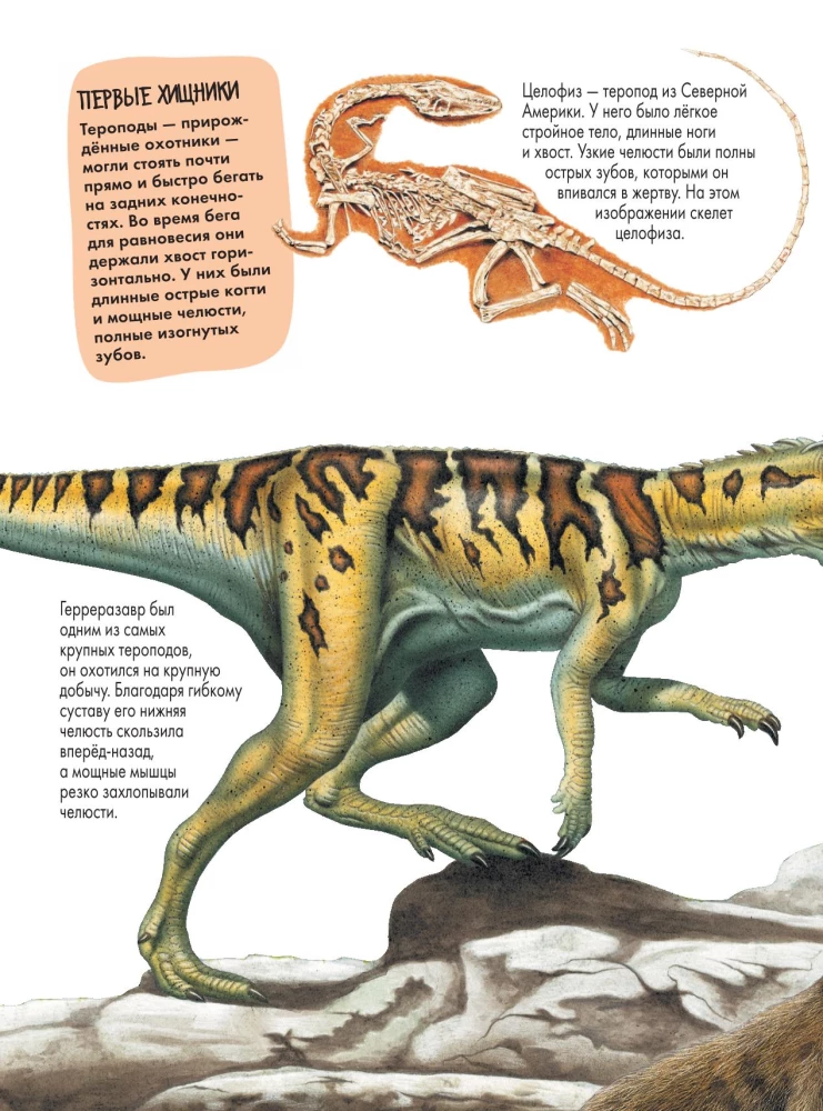 Dinozaury