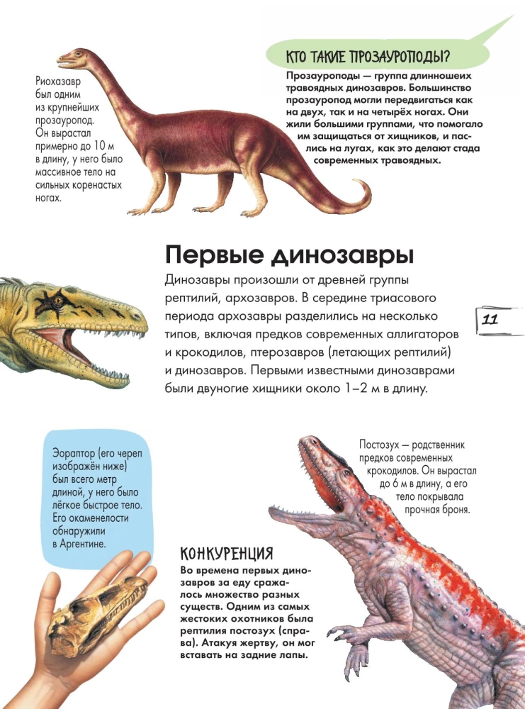 Dinozaury