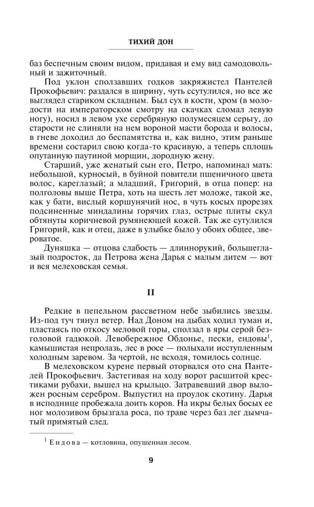 Тихий Дон (комплект из 2 книг)