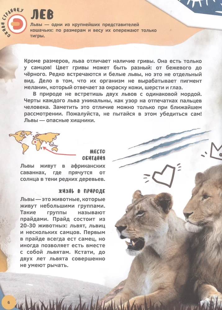Encyklopedia 4D w rozszerzonej rzeczywistości - Poznajemy zwierzęta
