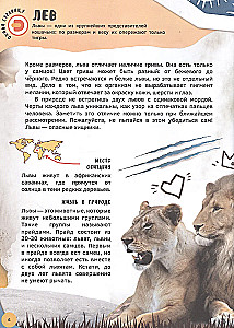 Encyklopedia 4D w rozszerzonej rzeczywistości - Poznajemy zwierzęta